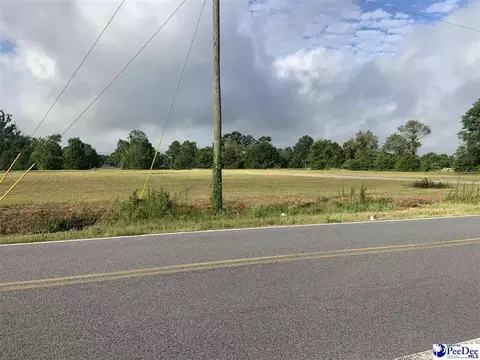 2431 Tomahawk Rd, Lamar, SC 29069 photo 13