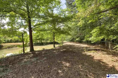 237 Mclaughlin Rd, Effingham, SC 29541 photo 55