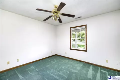 237 Mclaughlin Rd, Effingham, SC 29541 photo 23