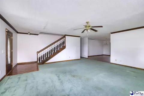 237 Mclaughlin Rd, Effingham, SC 29541 photo 6