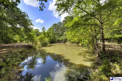 237 Mclaughlin Rd, Effingham, SC 29541 photo 59