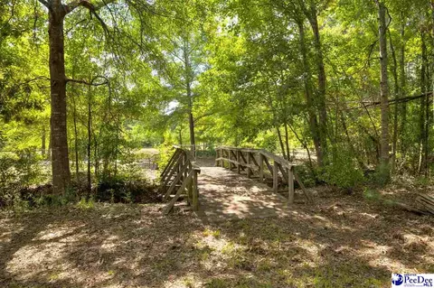 237 Mclaughlin Rd, Effingham, SC 29541 photo 53