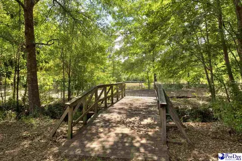 237 Mclaughlin Rd, Effingham, SC 29541 photo 54