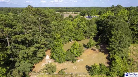 237 Mclaughlin Rd, Effingham, SC 29541 photo 67