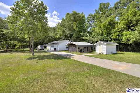 237 Mclaughlin Rd, Effingham, SC 29541 photo 48