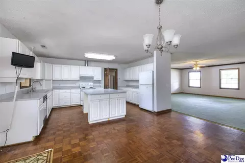 237 Mclaughlin Rd, Effingham, SC 29541 photo 11