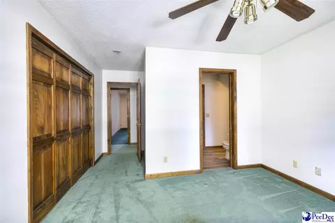 237 Mclaughlin Rd, Effingham, SC 29541 photo 24