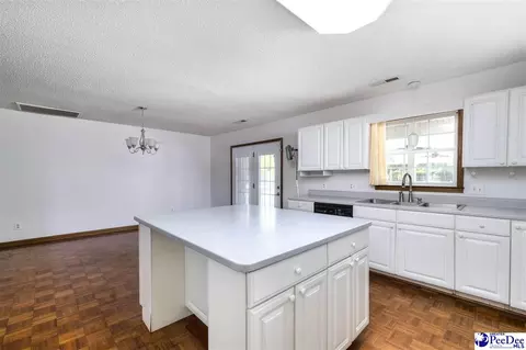 237 Mclaughlin Rd, Effingham, SC 29541 photo 14
