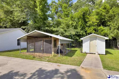 237 Mclaughlin Rd, Effingham, SC 29541 photo 49