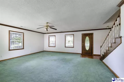 237 Mclaughlin Rd, Effingham, SC 29541 photo 8