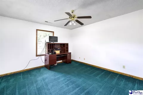 237 Mclaughlin Rd, Effingham, SC 29541 photo 25