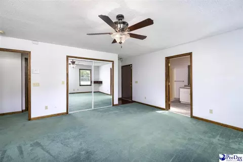 237 Mclaughlin Rd, Effingham, SC 29541 photo 34