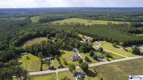 237 Mclaughlin Rd, Effingham, SC 29541 photo 69