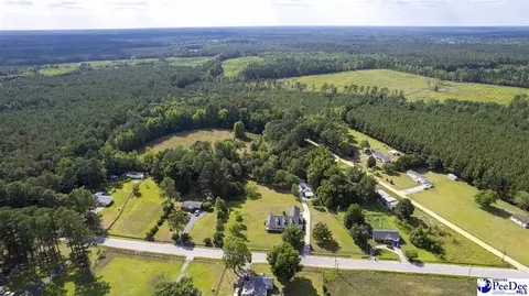 237 Mclaughlin Rd, Effingham, SC 29541 photo 68