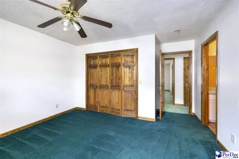 237 Mclaughlin Rd, Effingham, SC 29541 photo 26