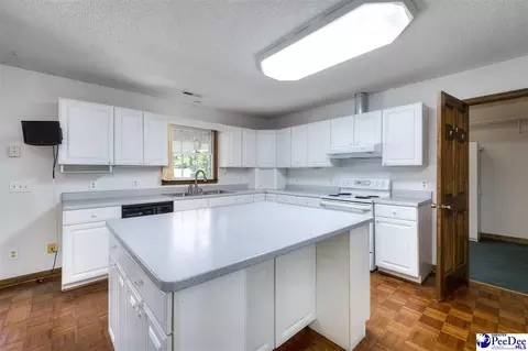 237 Mclaughlin Rd, Effingham, SC 29541 photo 13