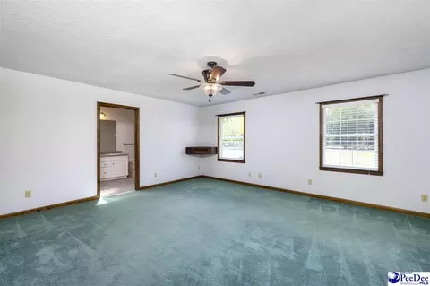 237 Mclaughlin Rd, Effingham, SC 29541 photo 33