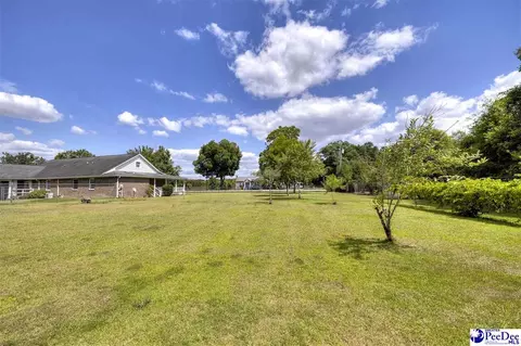 237 Mclaughlin Rd, Effingham, SC 29541 photo 61