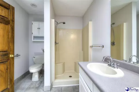 237 Mclaughlin Rd, Effingham, SC 29541 photo 40