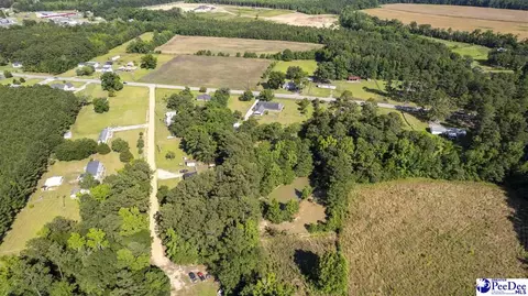 237 Mclaughlin Rd, Effingham, SC 29541 photo 65