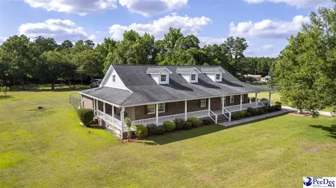237 Mclaughlin Rd, Effingham, SC 29541 photo 74