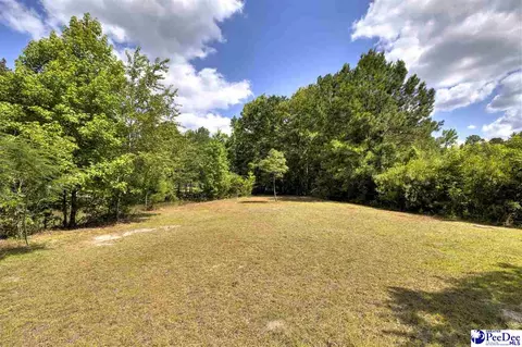 237 Mclaughlin Rd, Effingham, SC 29541 photo 58