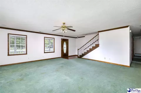237 Mclaughlin Rd, Effingham, SC 29541 photo 7