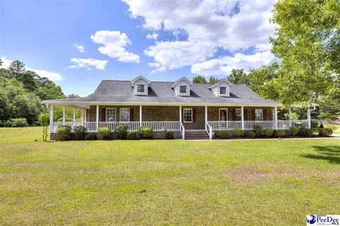 237 Mclaughlin Rd, Effingham, SC 29541 photo 3