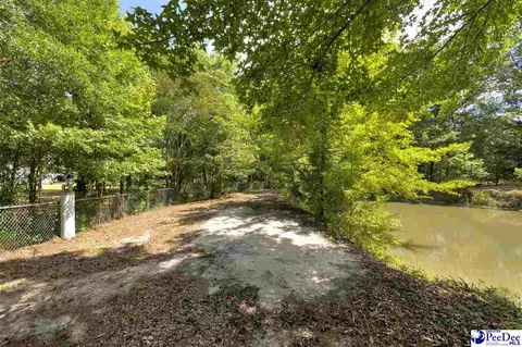 237 Mclaughlin Rd, Effingham, SC 29541 photo 56