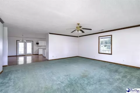 237 Mclaughlin Rd, Effingham, SC 29541 photo 5