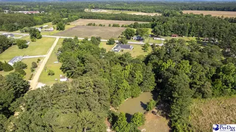 237 Mclaughlin Rd, Effingham, SC 29541 photo 66
