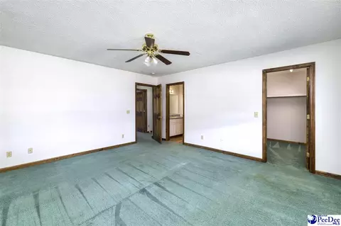 237 Mclaughlin Rd, Effingham, SC 29541 photo 29