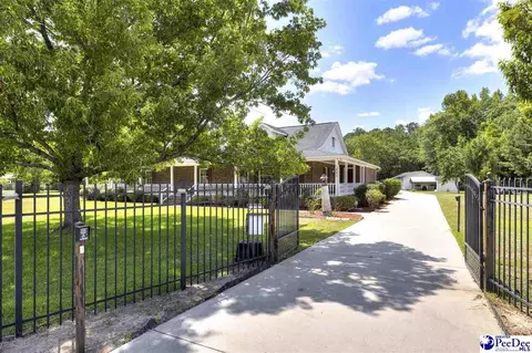 237 Mclaughlin Rd, Effingham, SC 29541 photo 1
