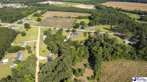237 Mclaughlin Rd, Effingham, SC 29541 photo 64
