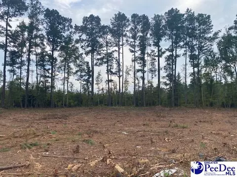 lot1 D Daniels Ln, Bennettsville, SC 29512