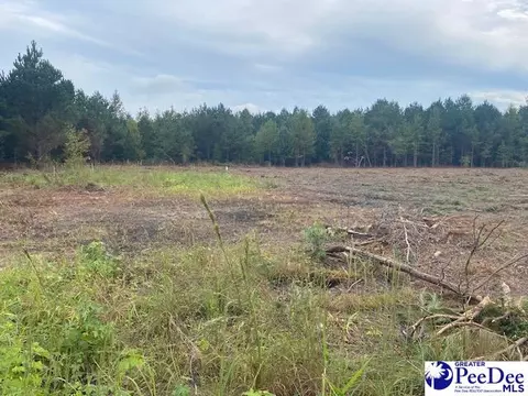 lot1 A Daniels Ln, Bennettsville, SC 29512