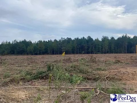 lot1 C Daniels Ln, Bennettsville, SC 29512