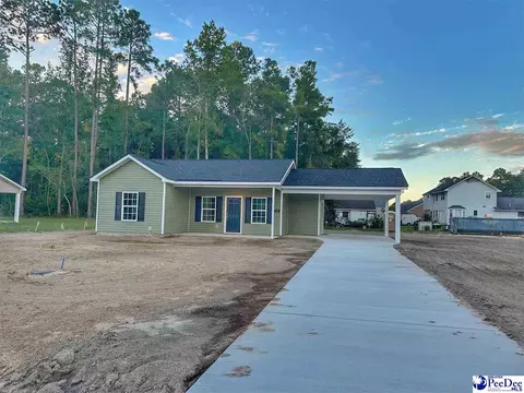 719 Edgewood Blvd, Dillon, SC 29536 photo 1