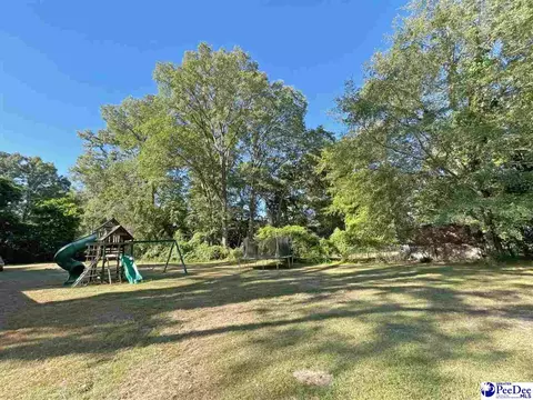 607 Kershaw St, Cheraw, SC 29520 photo 8