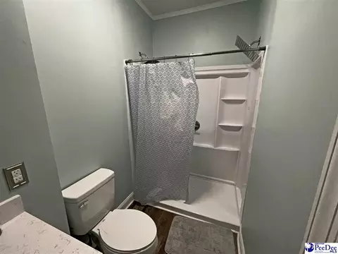 607 Kershaw St, Cheraw, SC 29520 photo 31