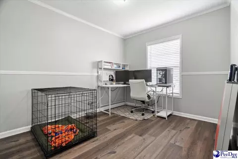 905 Alligator Rd, Effingham, SC 29541 photo 25