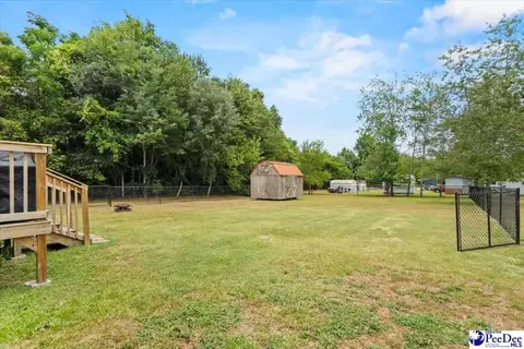 905 Alligator Rd, Effingham, SC 29541 photo 31