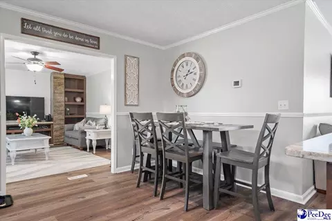 905 Alligator Rd, Effingham, SC 29541 photo 19