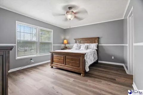 905 Alligator Rd, Effingham, SC 29541 photo 9