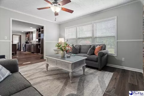 905 Alligator Rd, Effingham, SC 29541 photo 22