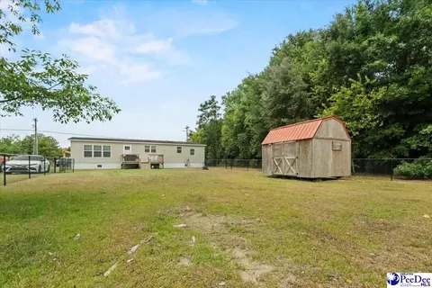 905 Alligator Rd, Effingham, SC 29541 photo 3