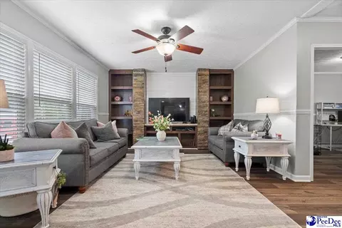 905 Alligator Rd, Effingham, SC 29541 photo 20
