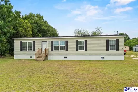 905 Alligator Rd, Effingham, SC 29541 photo 1