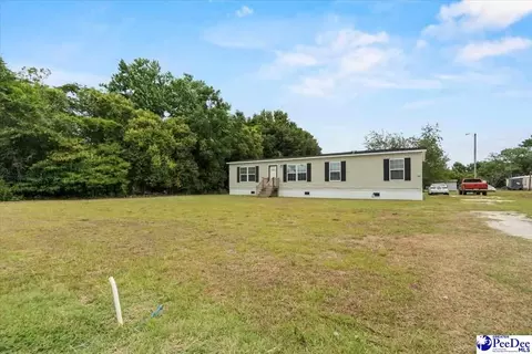 905 Alligator Rd, Effingham, SC 29541 photo 35
