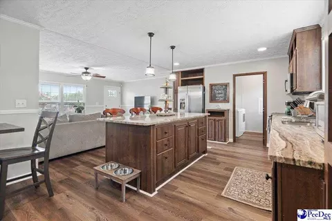 905 Alligator Rd, Effingham, SC 29541 photo 16